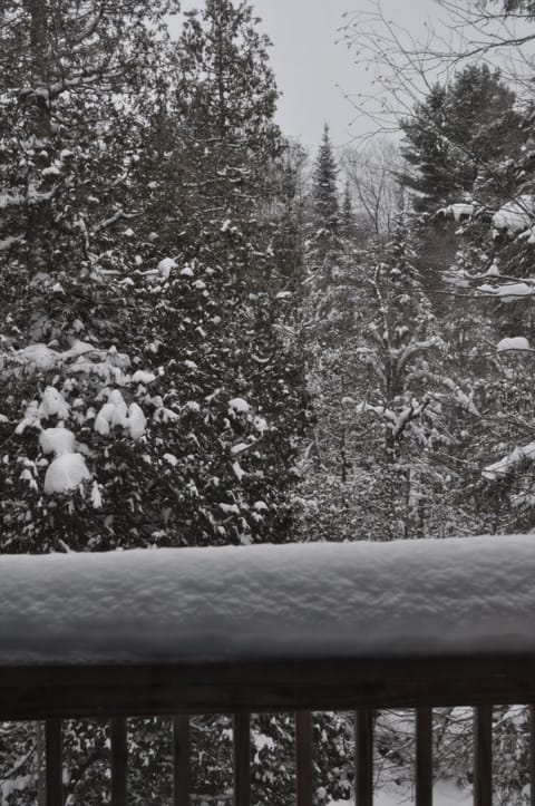 Feels like you are in the back woods - but yet close to town