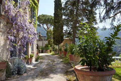 The Garden