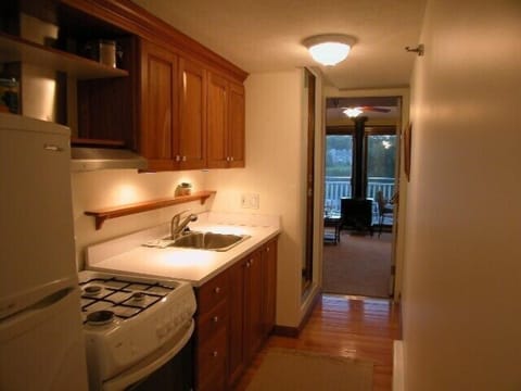 Lower Level second galley kitchen