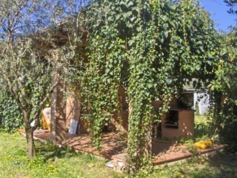 Garden, Park