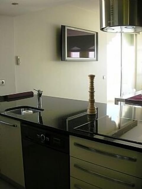 Details of modern kitchen and 42 inch plasma TV