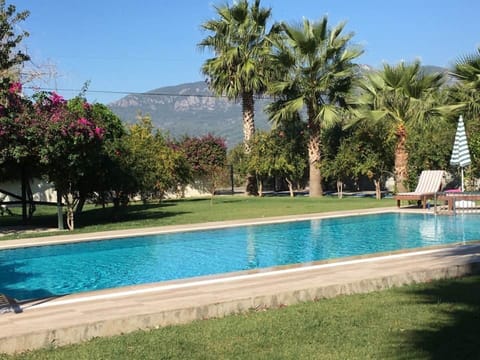 Enjoy the sunshine by the pool