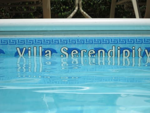 In the Swimming Pool