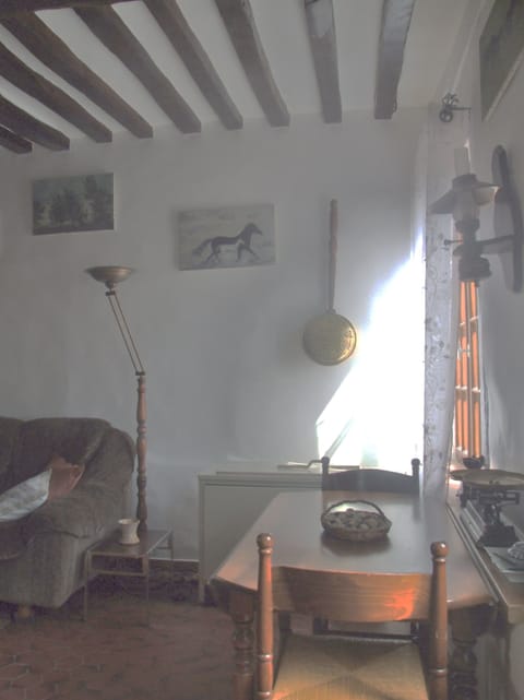 Living room - dining area