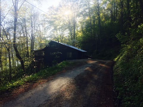 Approaching the Cottage