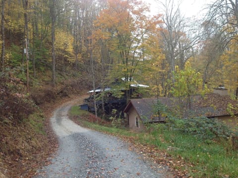 Grace Cottage, with the tin roof