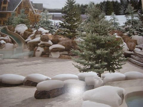 Outdoor pool area with slide