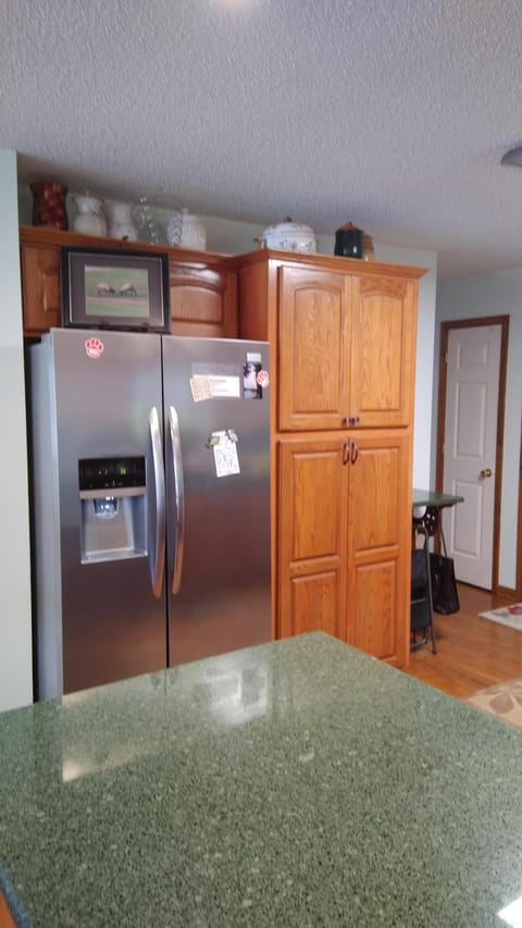 New Stainless Frig & Fold-out pantry