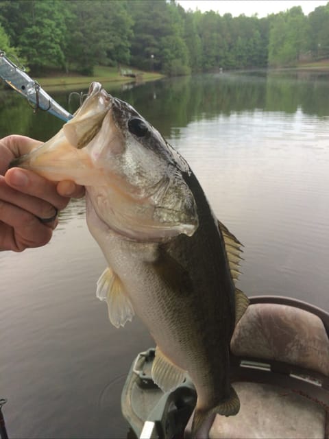 Fishing in the pond.