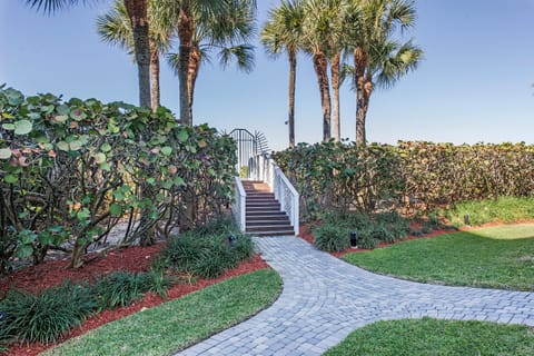 Pathway to the beach