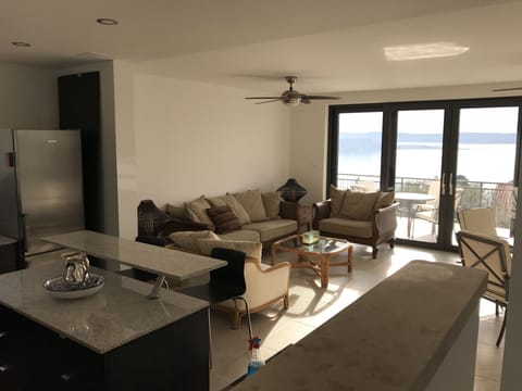 Terrace apt living room view