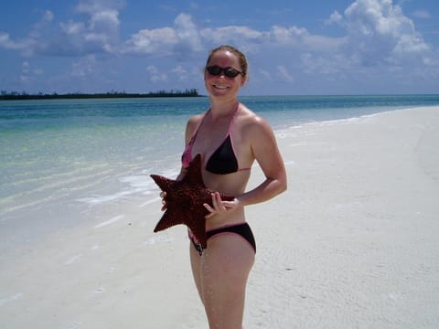 Walking the sand flats. There is abundant sealife to enjoy.