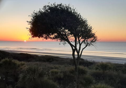 Take in the sunrise over the ocean from your balcony