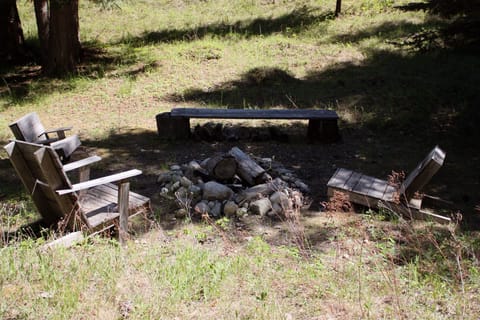 fire pit for weiners and s'mores