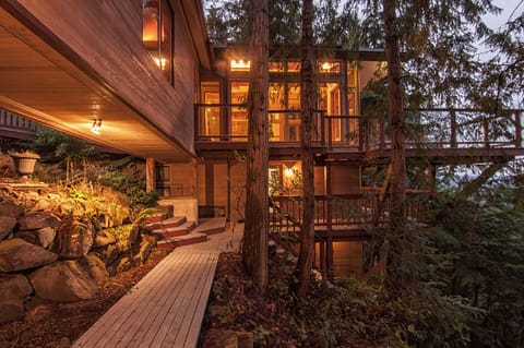 Welcome to our Sanctuary in the trees!