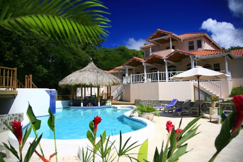 Fabulous Ocean View Pool area, Tiki Swim-up Bar and  Veranda.  Very private.