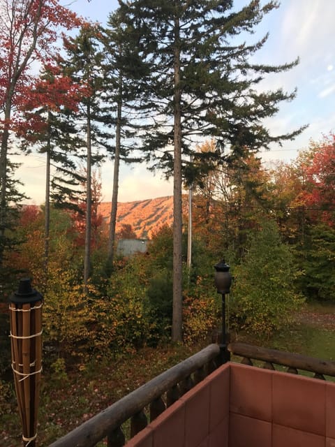 From Deck in early October
