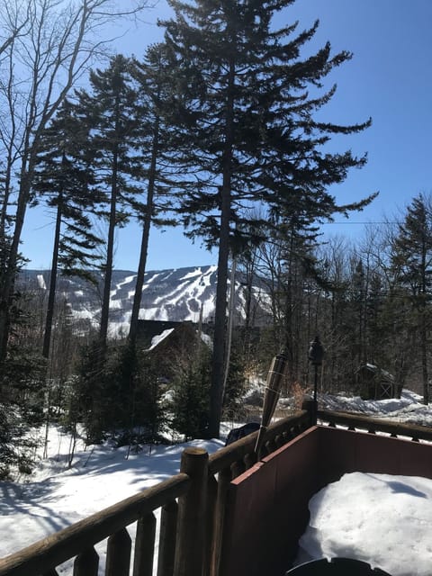from hot tub looking at mount snow
