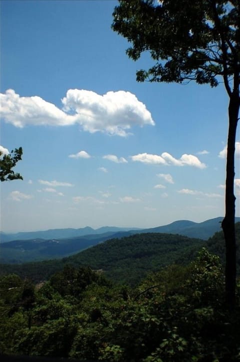 A beautiful summer view from the deck.