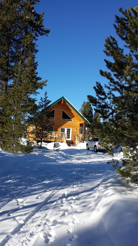 Forest Haven in winter