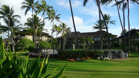 Lush well kept grounds. Lots of gas barbeques for guests to use.