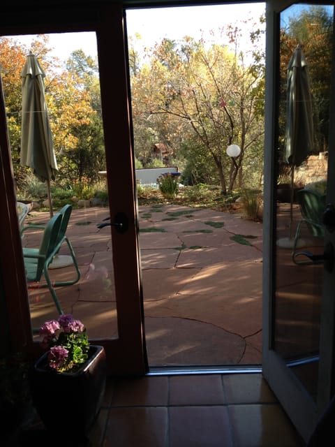 view out the dining room doors