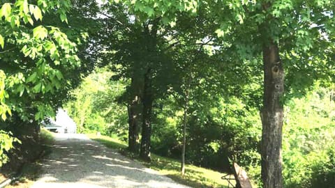 A beautiful short Tree Line driveway to our Industrial-Rustic Cottage