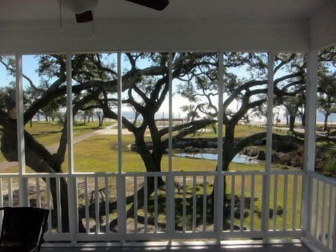 View from Screened Porch