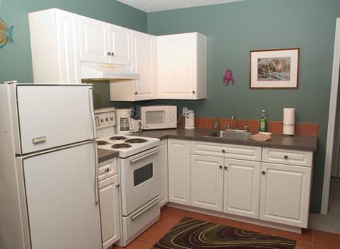 Suite has a well equipped full kitchen