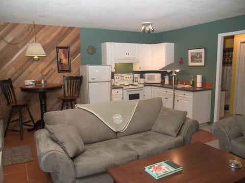 Suite view from the living room to the kitchen and pub table