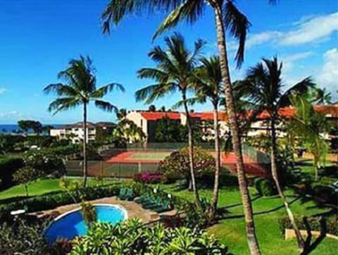 Terrific Maui Vista!!