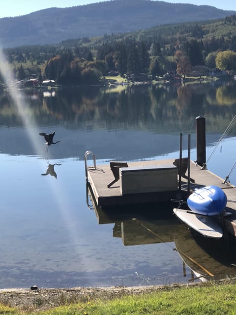 Beautiful Lake Samish 