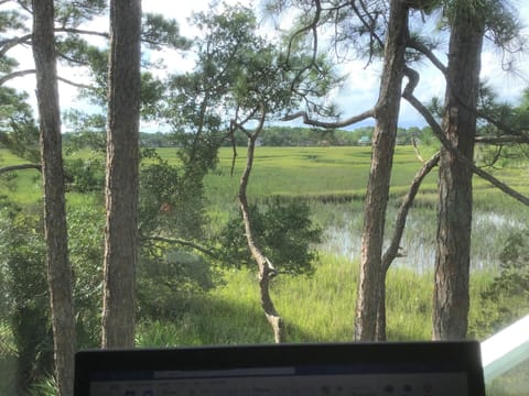 2nd-floor kitchen with spectacular view of marsh; Great location to work remote