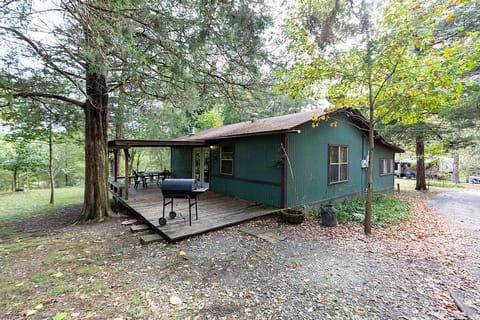 Magnolia in the fall