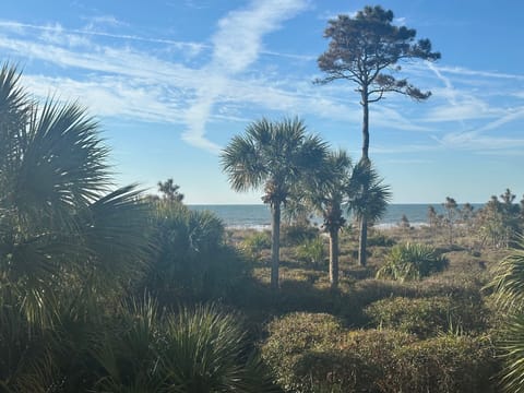 Balcony View - March 2025. Dunes are trimmed each Spring and Winter.