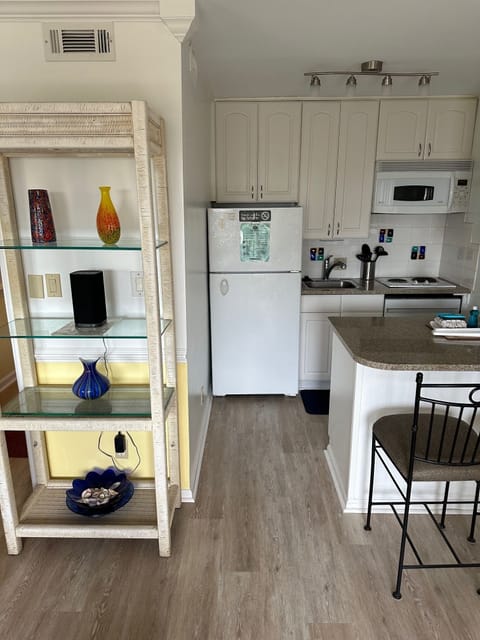 Living / Kitchen Area.