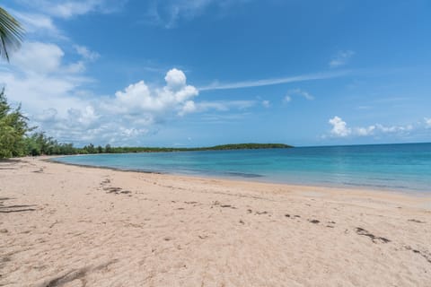 Seven Seas Beach