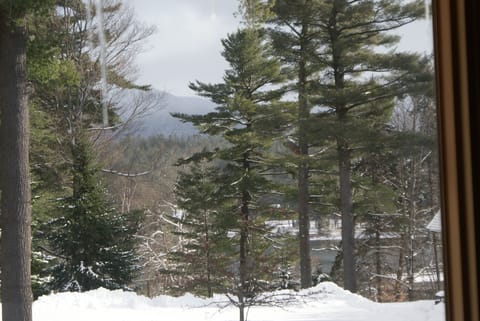 VIew from Master Bedroom