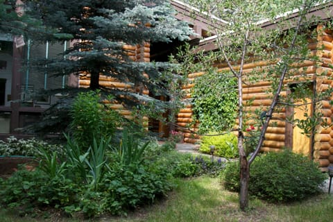 Front walk, flowers, early Summer
