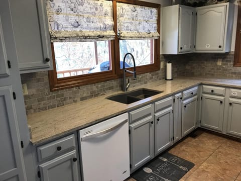 Kitchen - Sink and Dishwasher