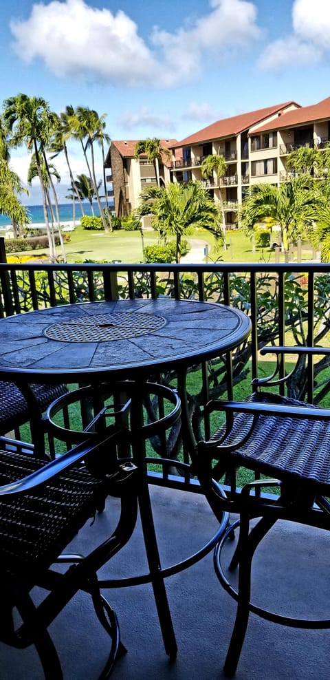 lanai 2 view