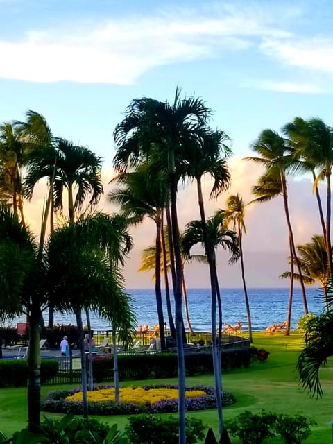 lanai view