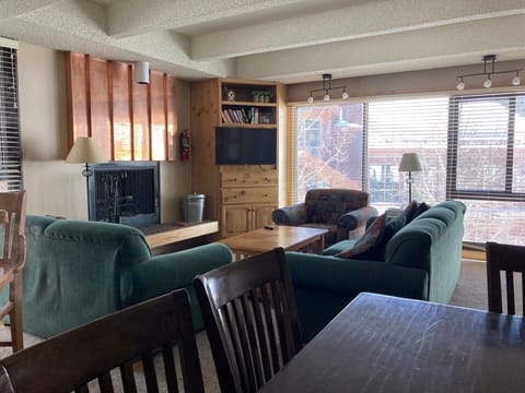 Living Area with wood-burning fireplace.