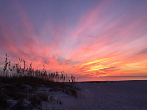 Another great sunset