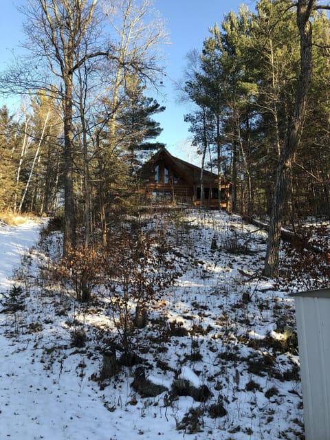 View from down by the lake.