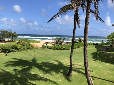 View from the lanai
