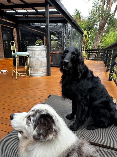 Deck life