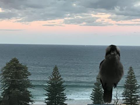 A guest enjoys the regular visitor