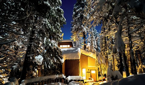 Robin's Nest at night after lots of snow  Picture courtesy of Dominique Karg