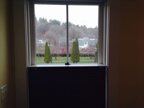 Early Spring View of the Town Garden from your Hallway window!